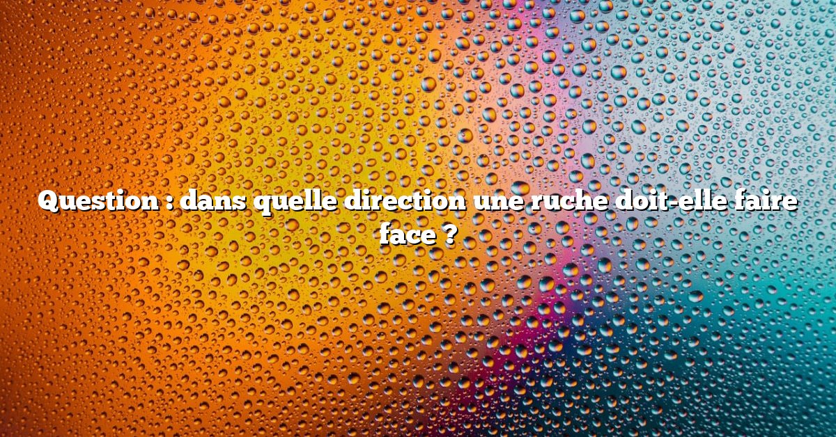 Question : dans quelle direction une ruche doit-elle faire face ?